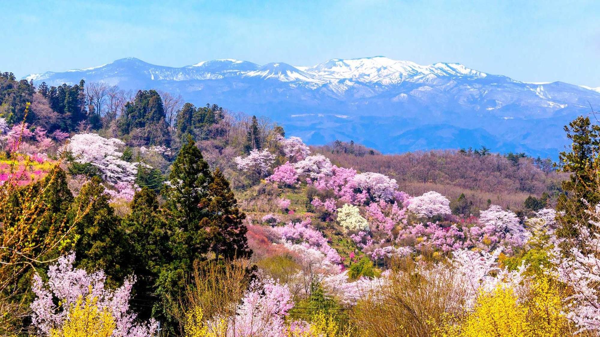 Toyoko Inn Fukushima Eki Nishi Guchi Kültér fotó